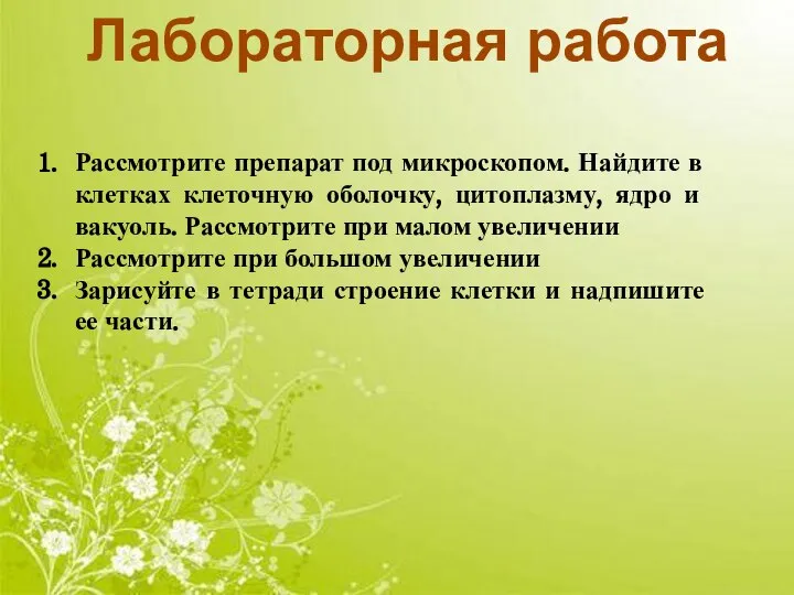 Лабораторная работа Рассмотрите препарат под микроскопом. Найдите в клетках клеточную оболочку,