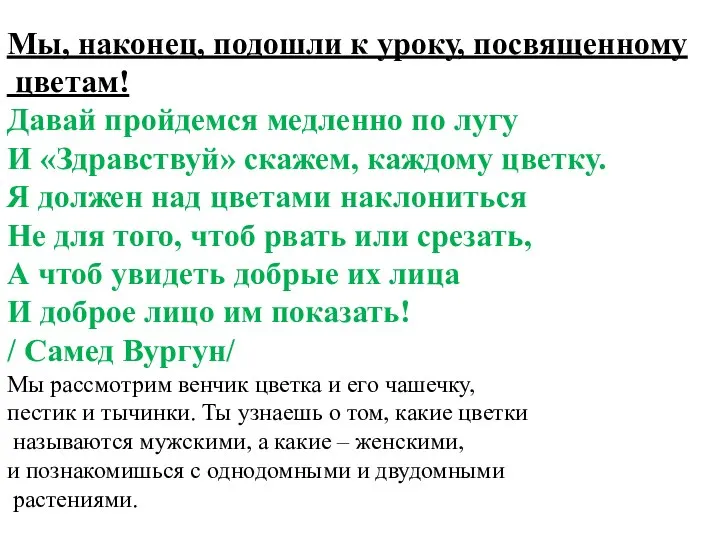 Мы, наконец, подошли к уроку, посвященному цветам! Давай пройдемся медленно по