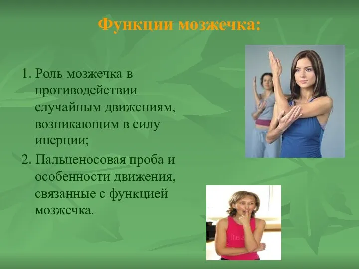 Функции мозжечка: 1. Роль мозжечка в противодействии случайным движениям, возникающим в