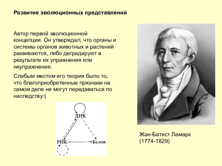 Развитие эволюционных представлений Жан-Батист Ламарк (1774-1829) Автор первой эволюционной концепции. Он