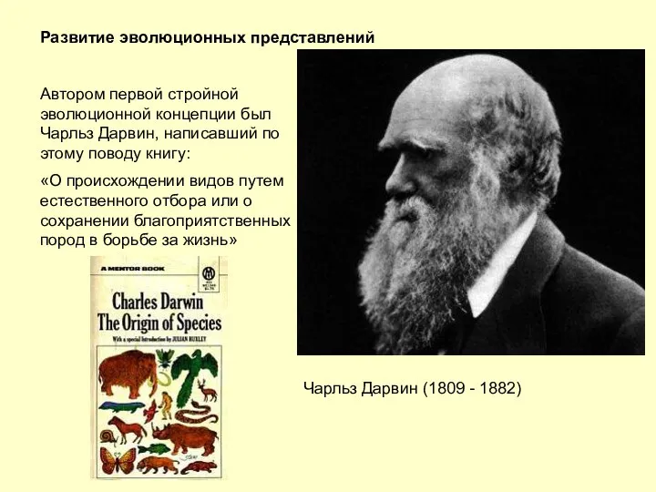 Развитие эволюционных представлений Автором первой стройной эволюционной концепции был Чарльз Дарвин,