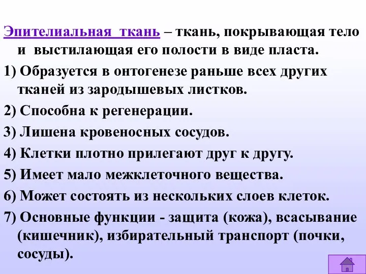 Эпителиальная ткань – ткань, покрывающая тело и выстилающая его полости в