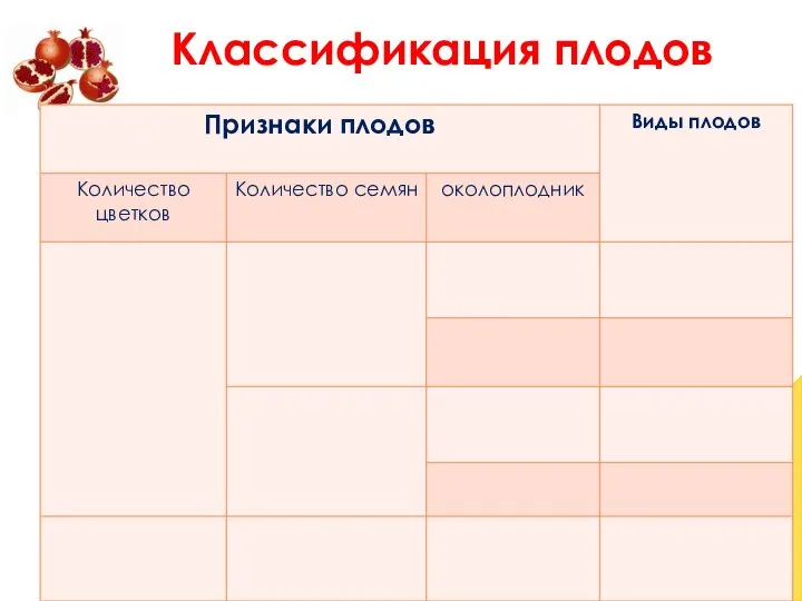 Классификация плодов