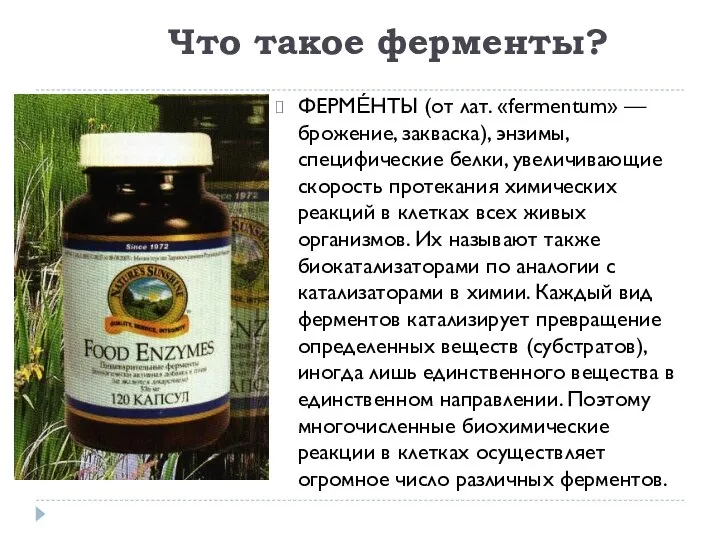 Что такое ферменты? ФЕРМЕ́НТЫ (от лат. «fermentum» — брожение, закваска), энзимы,