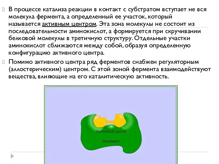 В процессе катализа реакции в контакт с субстратом вступает не вся