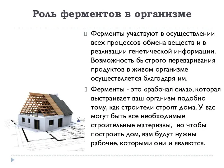 Роль ферментов в организме Ферменты участвуют в осуществлении всех процессов обмена