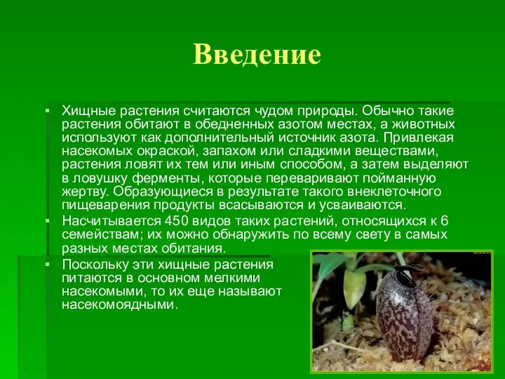 Введение Хищные растения считаются чудом природы. Обычно такие растения обитают в