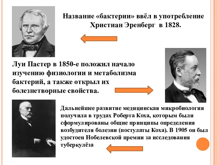 Название «бактерии» ввёл в употребление Христиан Эренберг в 1828. Луи Пастер