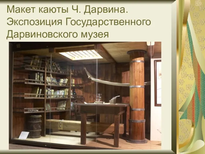 Макет каюты Ч. Дарвина. Экспозиция Государственного Дарвиновского музея