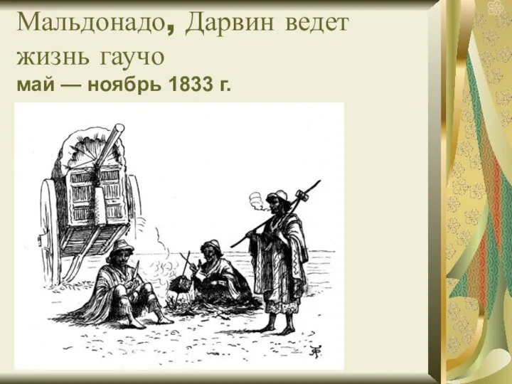 Мальдонадо, Дарвин ведет жизнь гаучо май — ноябрь 1833 г.