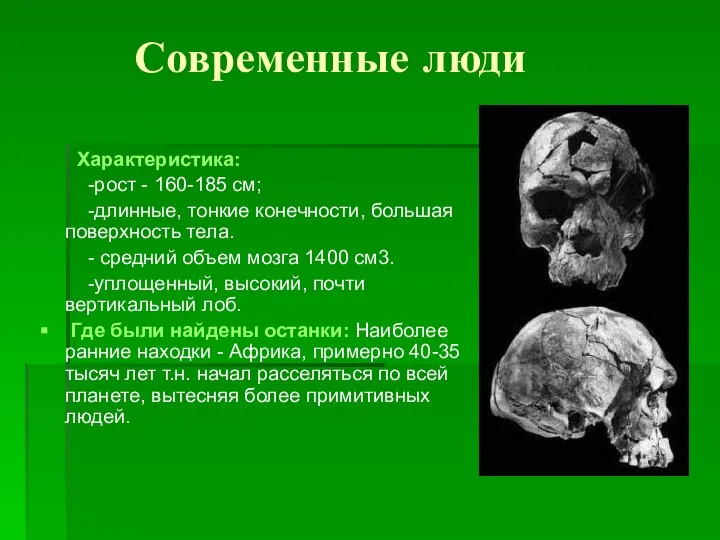 Современные люди Характеристика: -рост - 160-185 см; -длинные, тонкие конечности, большая