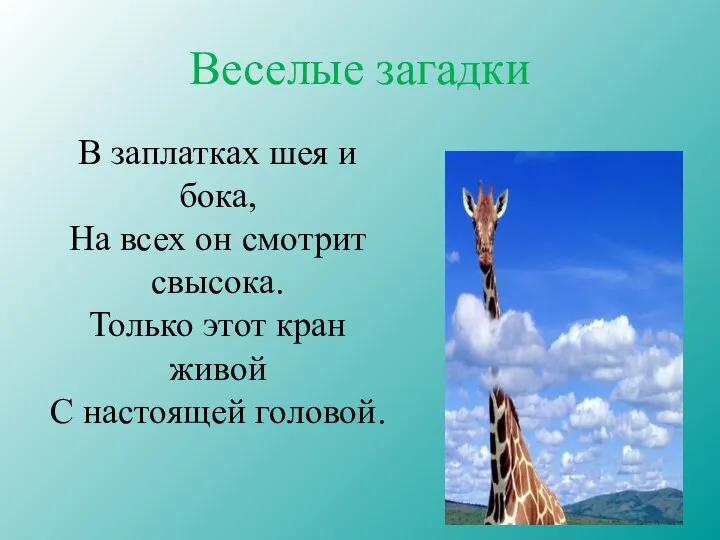 Веселые загадки В заплатках шея и бока, На всех он смотрит