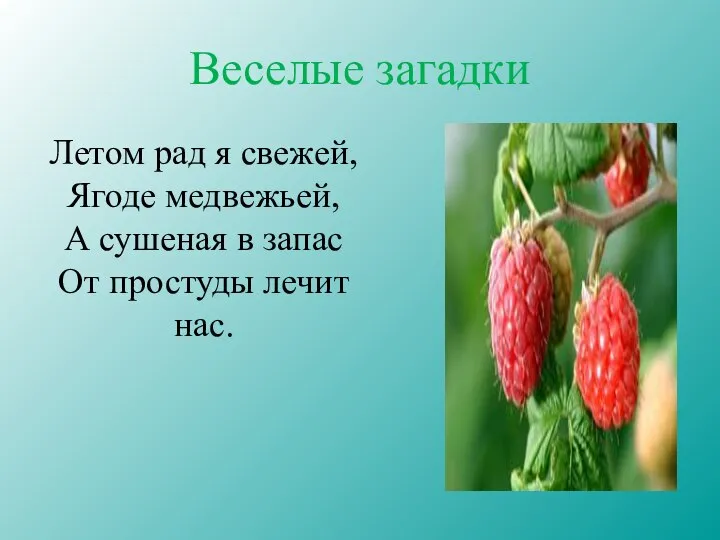 Веселые загадки Летом рад я свежей, Ягоде медвежьей, А сушеная в запас От простуды лечит нас.