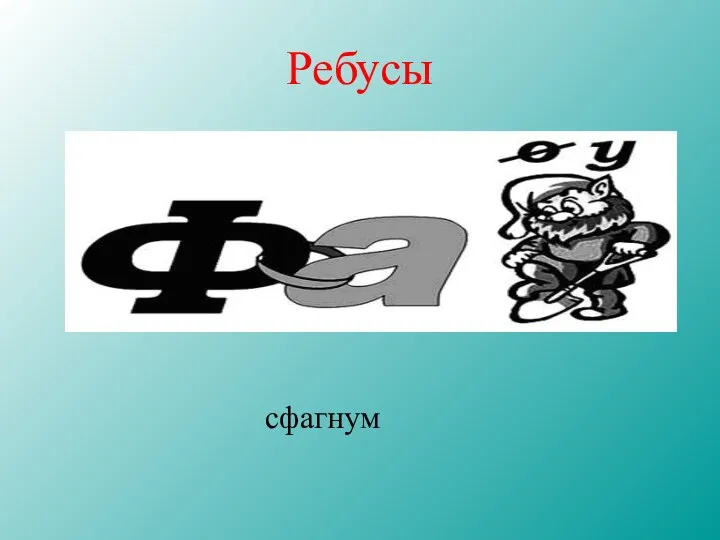 Ребусы сфагнум