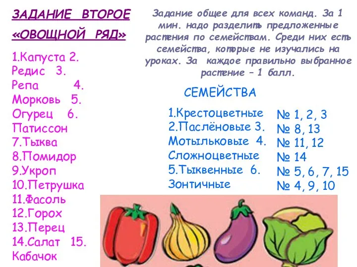 ЗАДАНИЕ ВТОРОЕ «ОВОЩНОЙ РЯД» Задание общее для всех команд. За 1