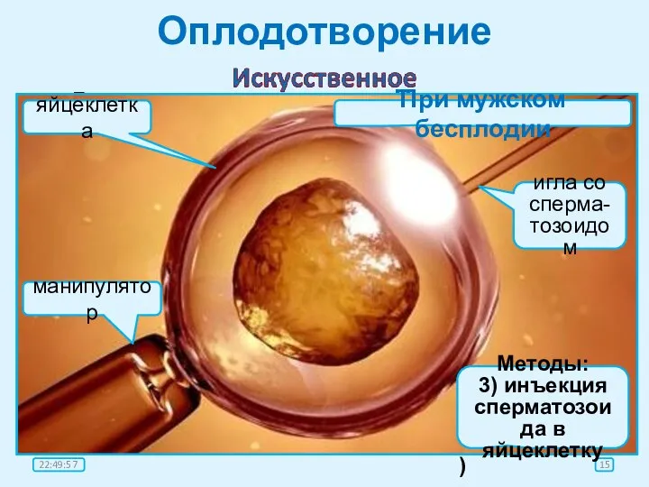 Оплодотворение оплодо-творение имплан-тация Главная причина: невозможность забеременеть естественным путём. Методы: 1)