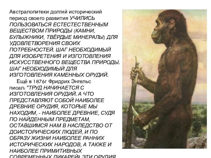 Австралопитеки долгий исторический период своего развития УЧИЛИСЬ ПОЛЬЗОВАТЬСЯ ЕСТЕСТЕСТВЕННЫМ ВЕЩЕСТВОМ ПРИРОДЫ