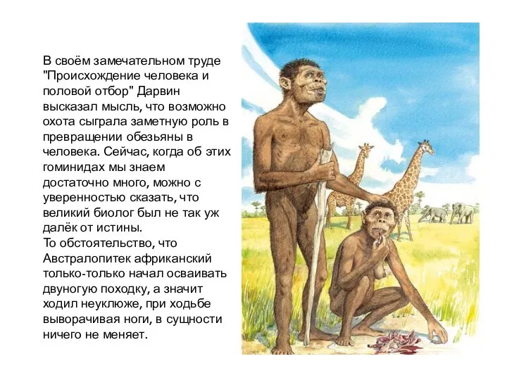 В своём замечательном труде "Происхождение человека и половой отбор" Дарвин высказал