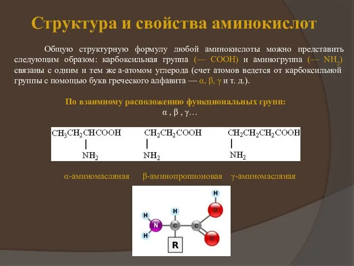 Структура и свойства аминокислот Общую структурную формулу любой аминокислоты можно представить