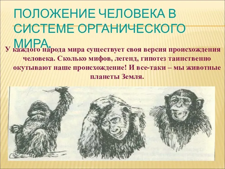 ПОЛОЖЕНИЕ ЧЕЛОВЕКА В СИСТЕМЕ ОРГАНИЧЕСКОГО МИРА. У каждого народа мира существует