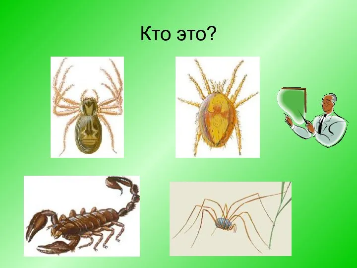 Кто это?