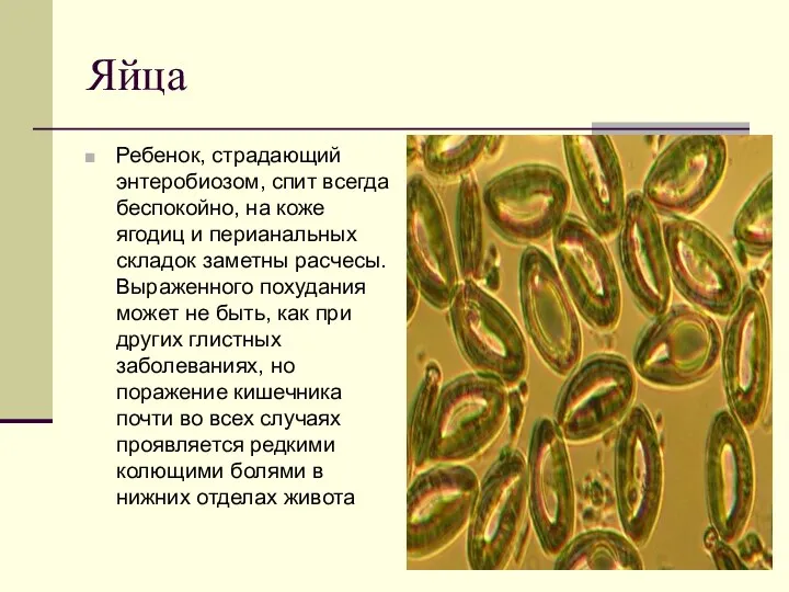 Яйца Ребенок, страдающий энтеробиозом, спит всегда беспокойно, на коже ягодиц и