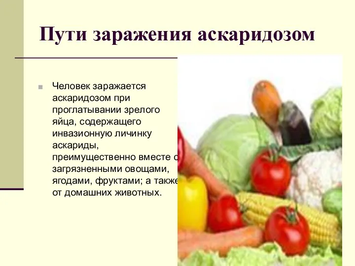 Пути заражения аскаридозом Человек заражается аскаридозом при проглатывании зрелого яйца, содержащего