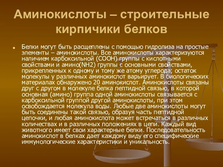 Аминокислоты – строительные кирпичики белков Белки могут быть расщеплены с помощью