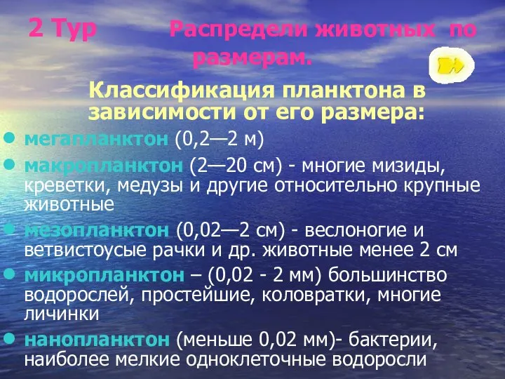 2 Тур Распредели животных по размерам. Классификация планктона в зависимости от