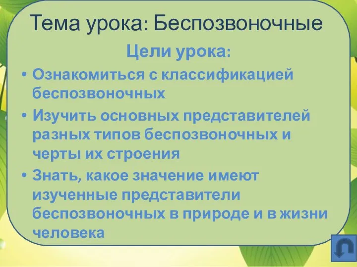 Тема урока: Беспозвоночные Цели урока: Ознакомиться с классификацией беспозвоночных Изучить основных