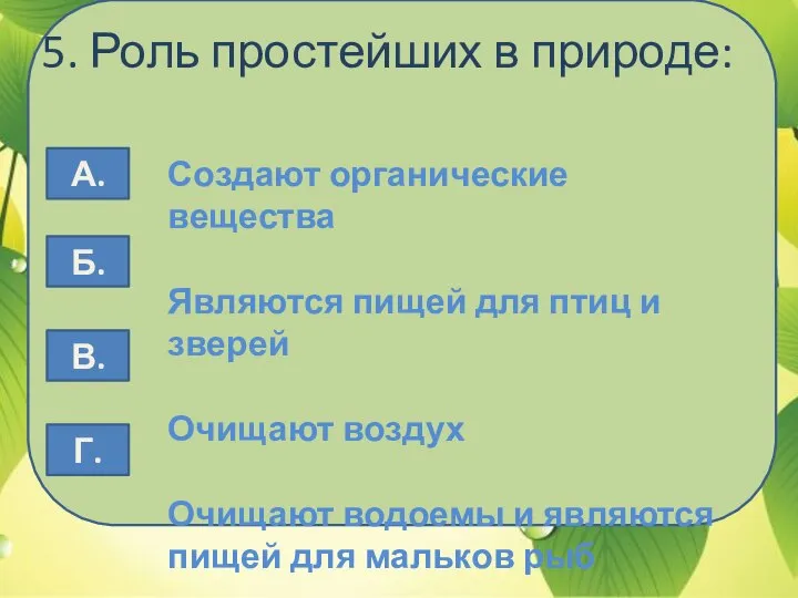 5. Роль простейших в природе: Создают органические вещества Являются пищей для