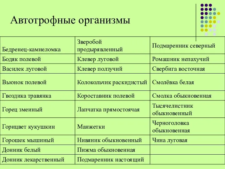 Автотрофные организмы