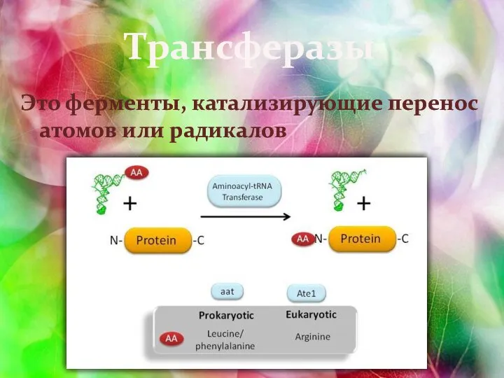 Трансферазы Это ферменты, катализирующие перенос атомов или радикалов