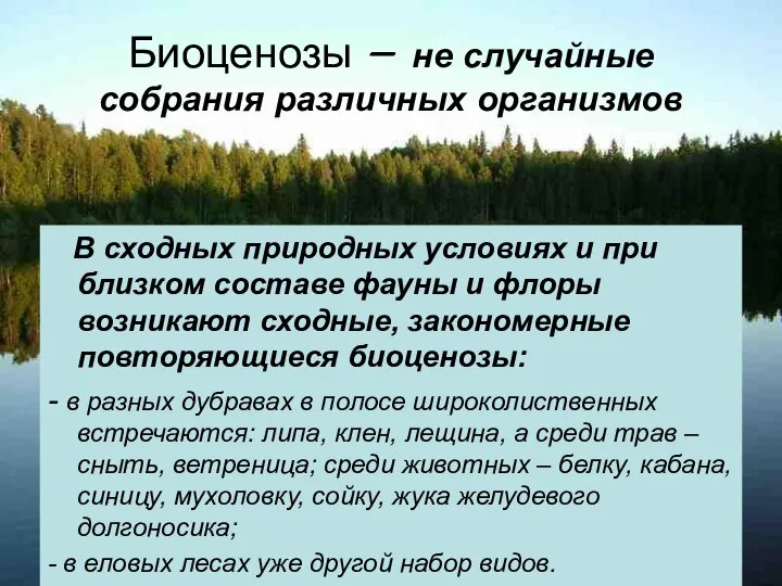 Биоценозы – не случайные собрания различных организмов В сходных природных условиях