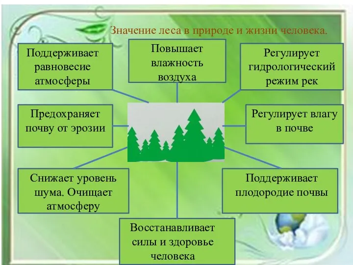 Значение леса в природе и жизни человека. Поддерживает равновесие атмосферы Повышает