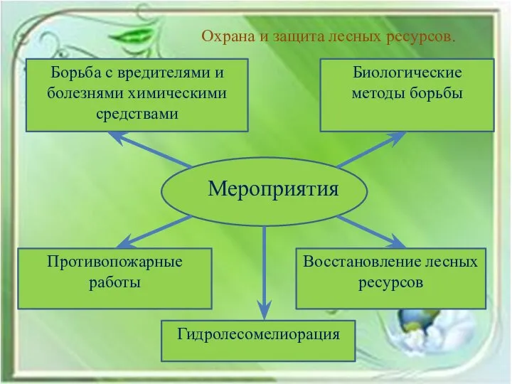 Охрана и защита лесных ресурсов. Борьба с вредителями и болезнями химическими