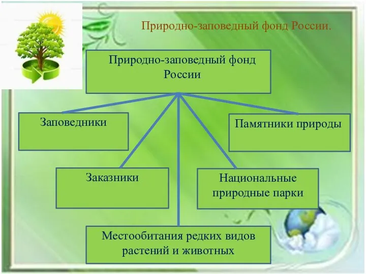 Природно-заповедный фонд России. Природно-заповедный фонд России Заповедники Памятники природы Заказники Национальные