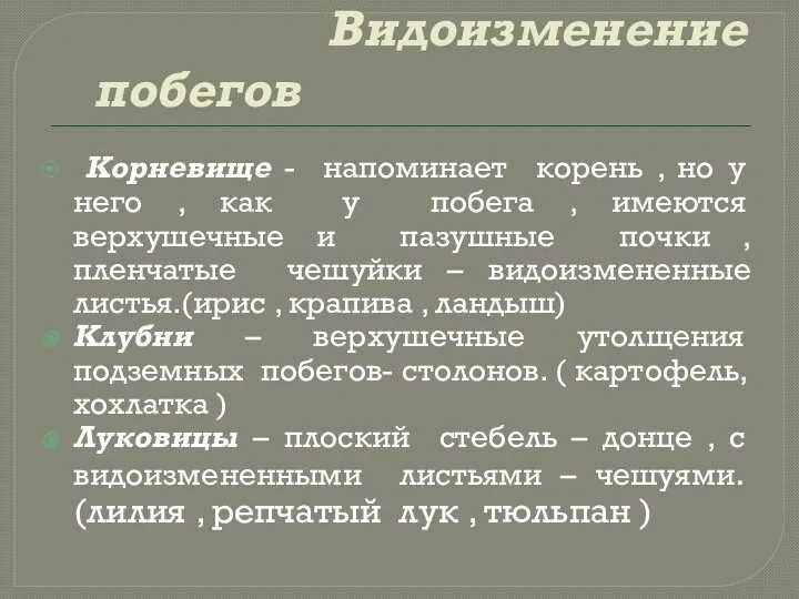 Видоизменение побегов Корневище - напоминает корень , но у него ,