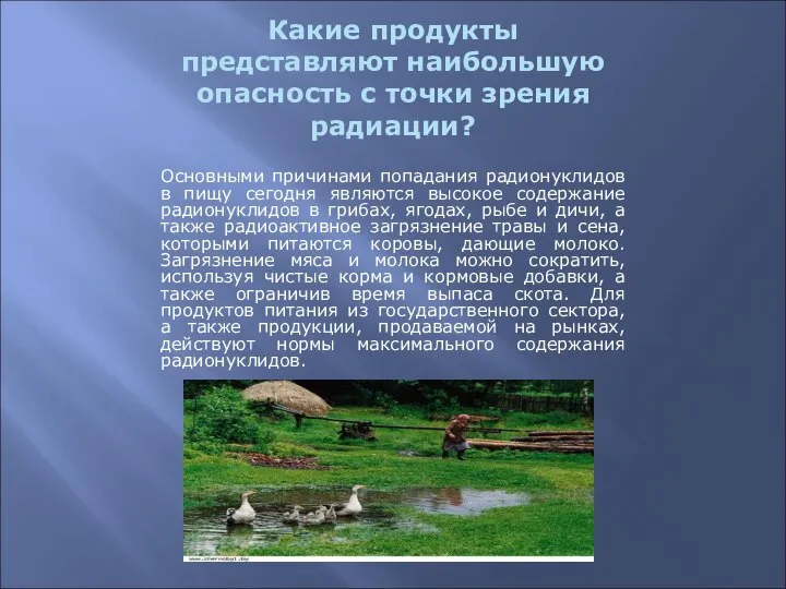 Какие продукты представляют наибольшую опасность с точки зрения радиации? Основными причинами