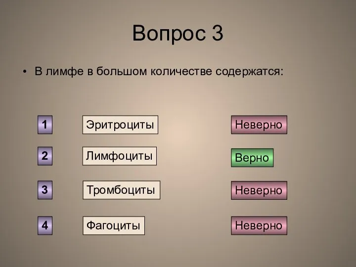 Вопрос 3 В лимфе в большом количестве содержатся: Эритроциты Лимфоциты Тромбоциты