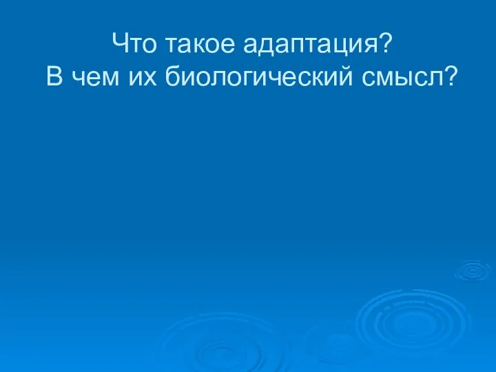 Что такое адаптация? В чем их биологический смысл?