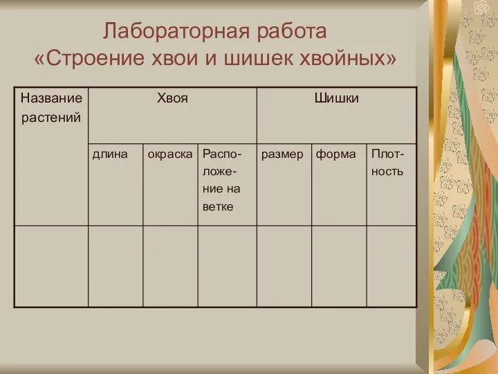 Лабораторная работа «Строение хвои и шишек хвойных»