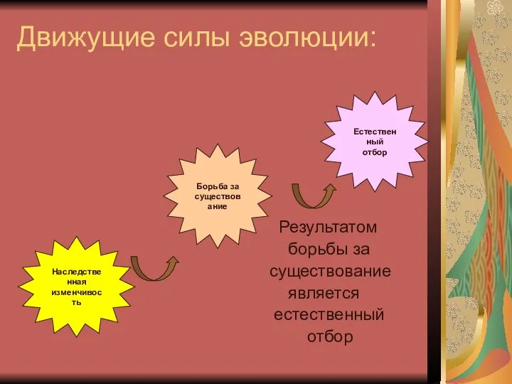 Движущие силы эволюции: Наследственная изменчивость Борьба за существование Естественный отбор Результатом