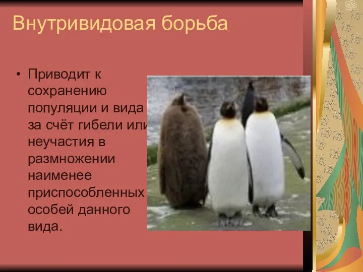 Внутривидовая борьба Приводит к сохранению популяции и вида за счёт гибели