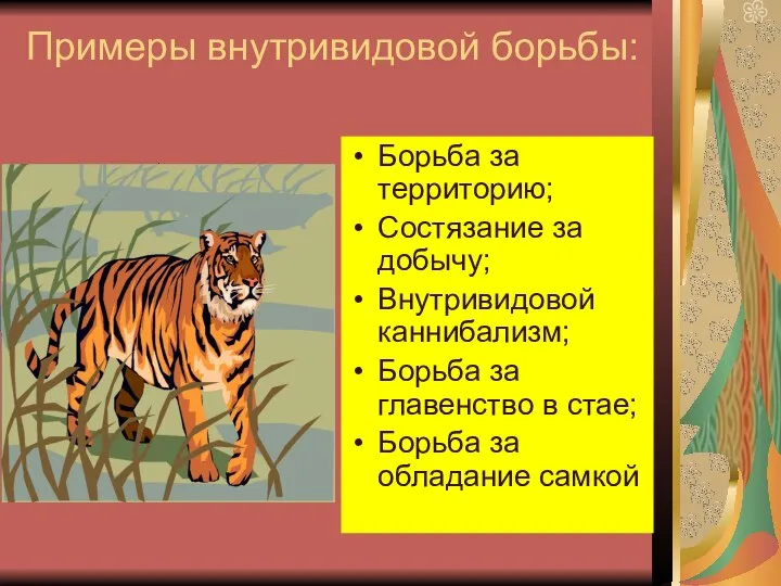 Примеры внутривидовой борьбы: Борьба за территорию; Состязание за добычу; Внутривидовой каннибализм;