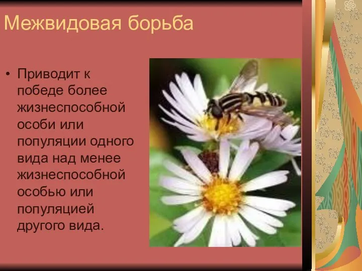 Межвидовая борьба Приводит к победе более жизнеспособной особи или популяции одного