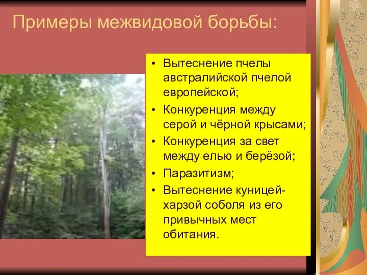 Примеры межвидовой борьбы: Вытеснение пчелы австралийской пчелой европейской; Конкуренция между серой