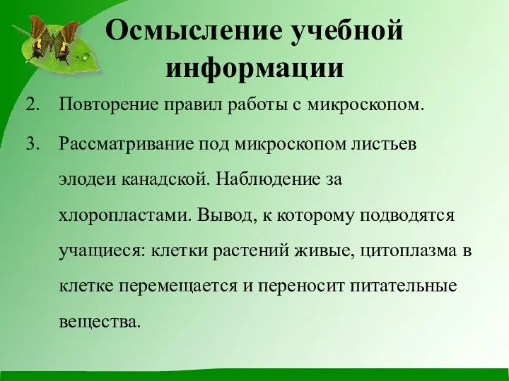 Осмысление учебной информации Повторение правил работы с микроскопом. Рассматривание под микроскопом