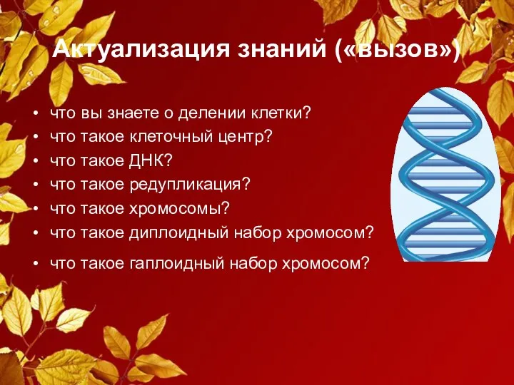 Актуализация знаний («вызов») что вы знаете о делении клетки? что такое