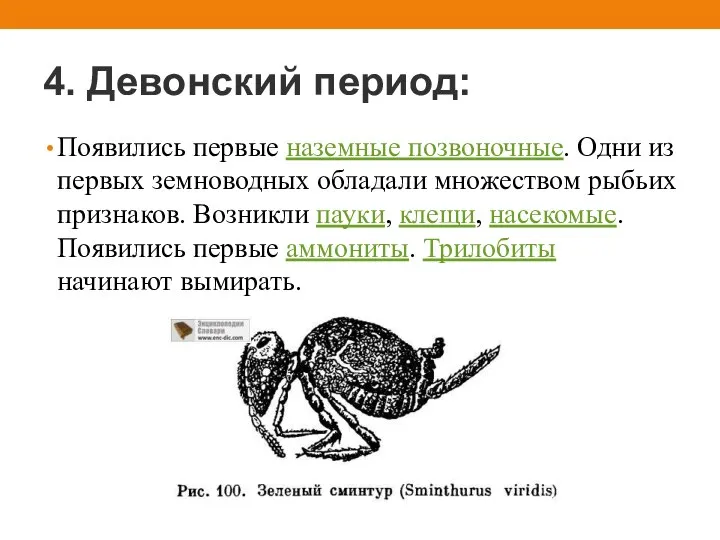 4. Девонский период: Появились первые наземные позвоночные. Одни из первых земноводных